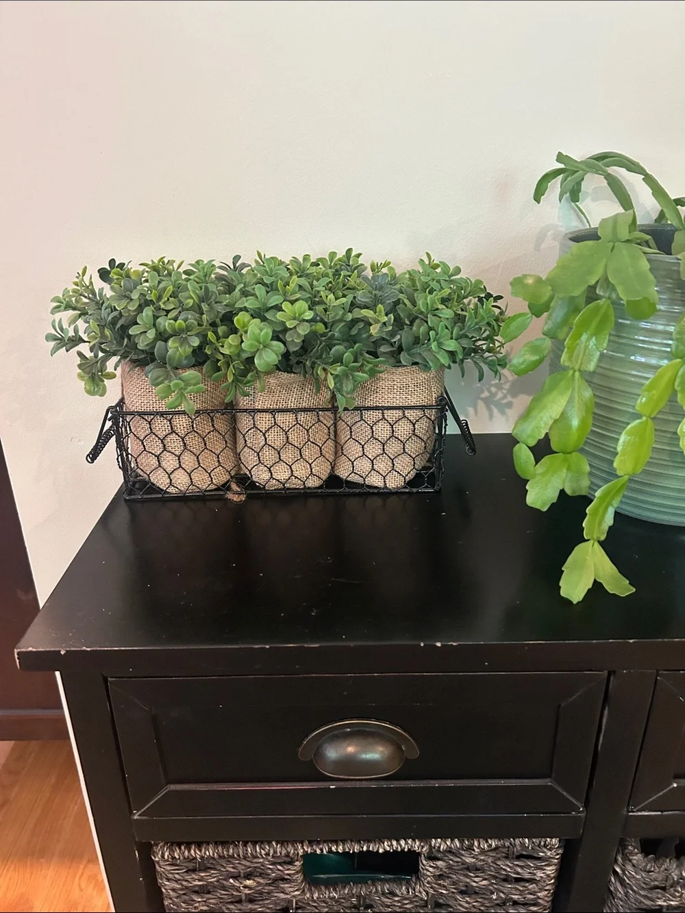 Burlap-Wrapped Faux Succulent Trio in Black Wire Basket